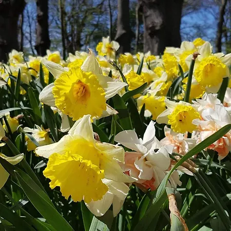 Feriehus Charming Retreat On Eno - By Traum Karrebæksminde