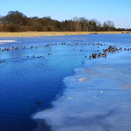 Feriehus Charming Retreat On Eno - By Traum